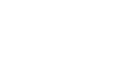 АНО «Лимонная столица»